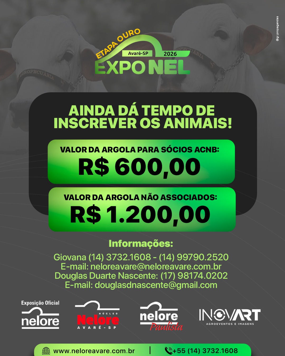 WhatsApp Image 2026-02-24 at 15.43.46